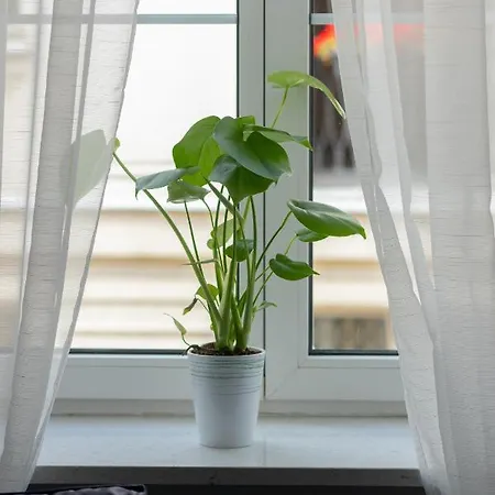 Podwale 9 Old Town * Warsaw