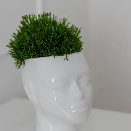 Podwale 9 Old Town *