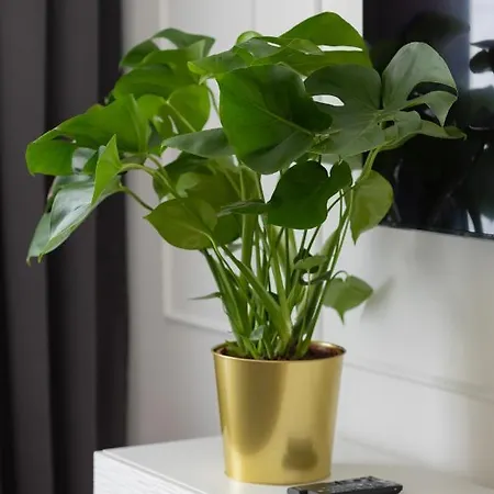 Apartamento Podwale 9 Old Town *